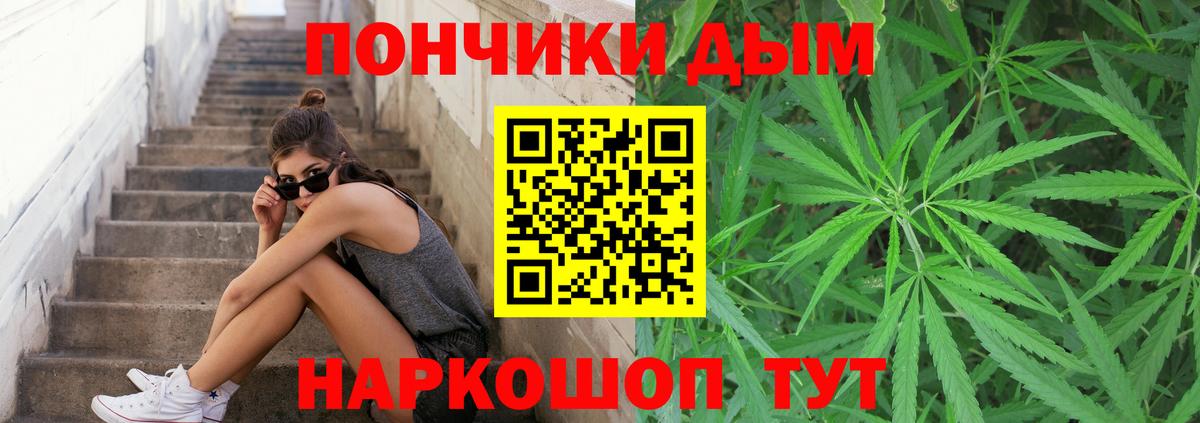 Конопля конопля Большой Камень